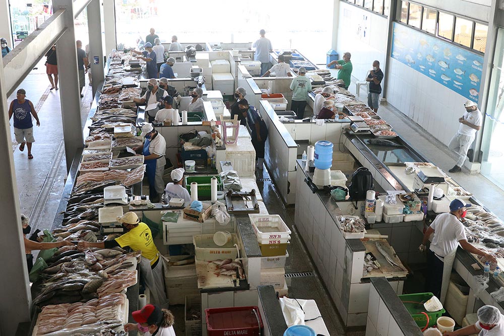 O Mercado Municipal de Peixes de Macaé oferece variedade em peixes e crustáceos