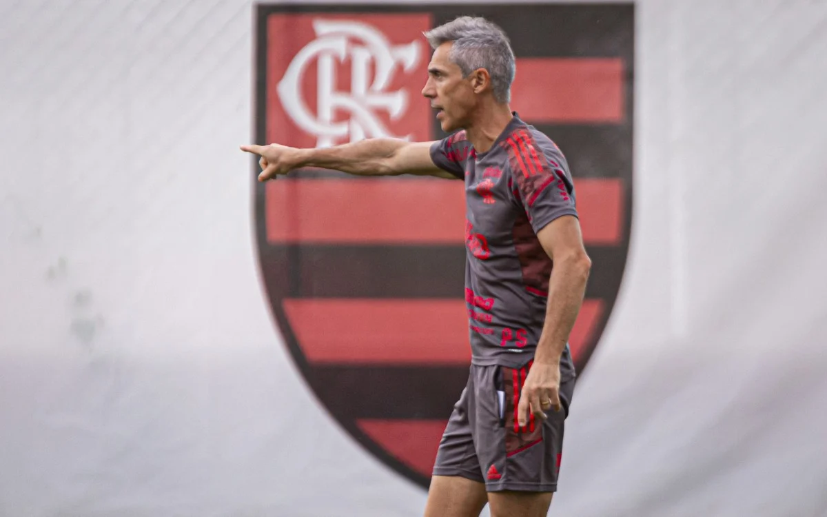 O Flamengo volta a campo no domingo, às 16h, no Nilton Santos, para pegar o Resende