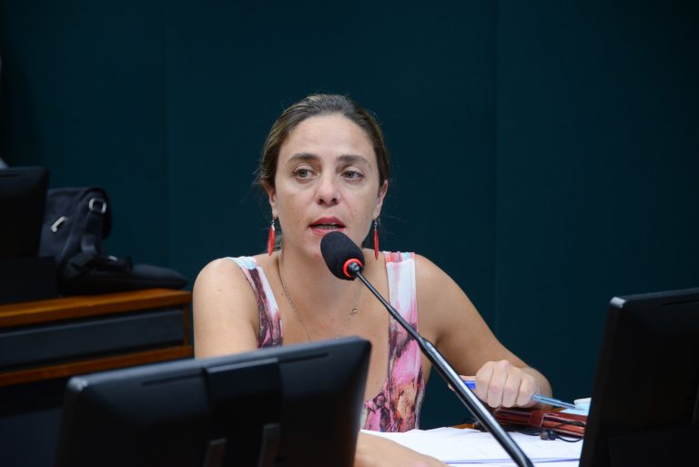 Fernanda Melchionna defende reajuste atrelado à inflação do período