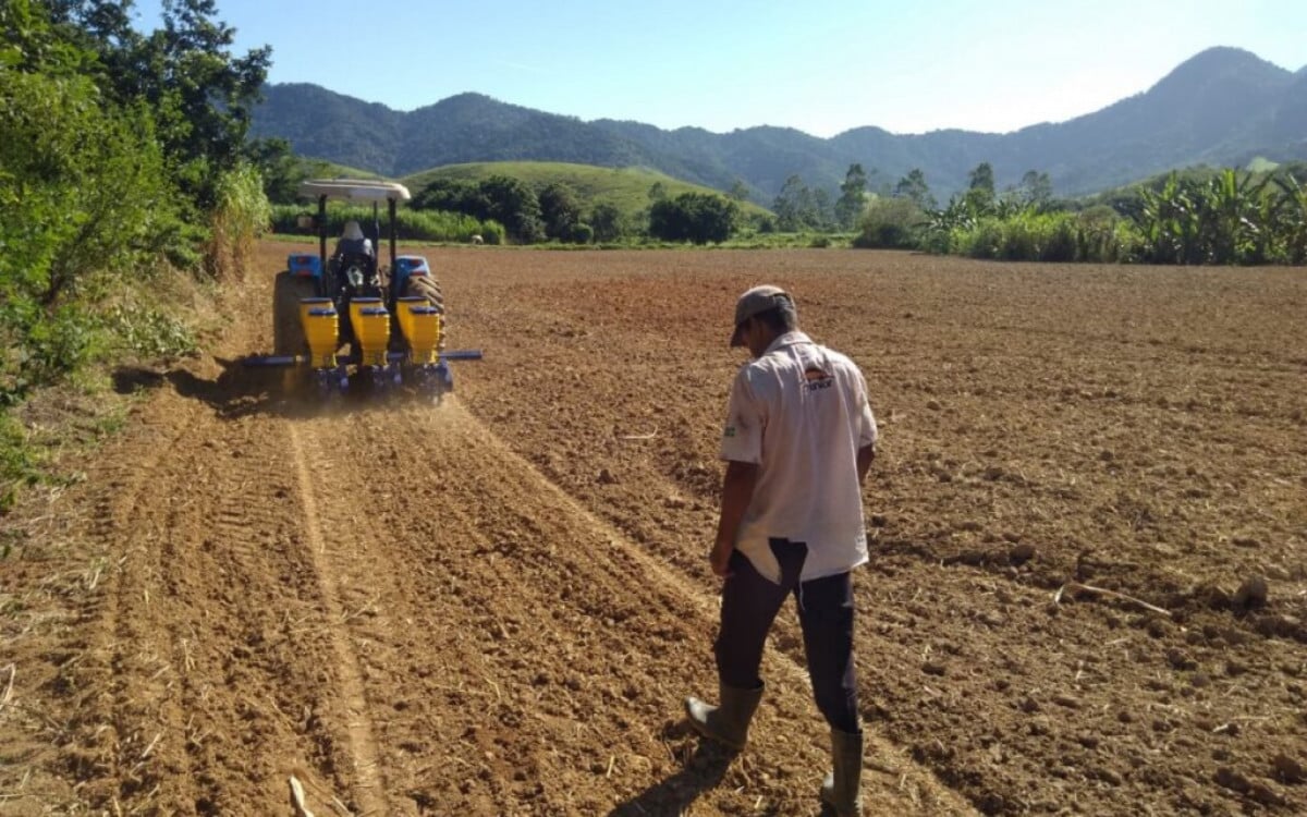 Parceria entre produtores rurais e Secretaria de Agricultura impulsiona crescimento na safra do município