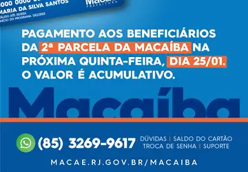 A macaíba só poderá ser utilizada no comércio local de cada setor administrativo