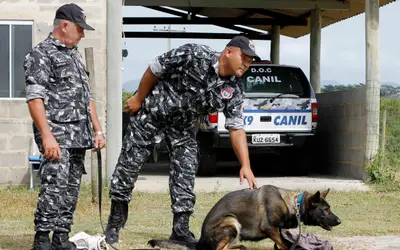 Departamento de Operações com Cães, da Guarda Municipal de Carapebus, realiza treinamento com cadelas